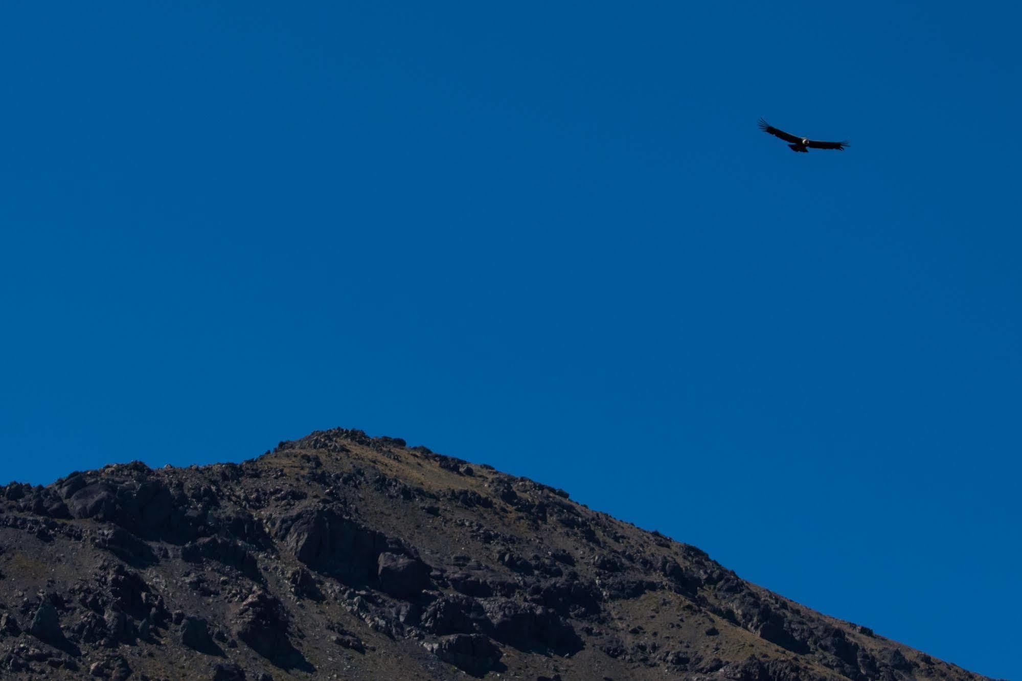 Noi Puma Lodge Machalí Buitenkant foto
